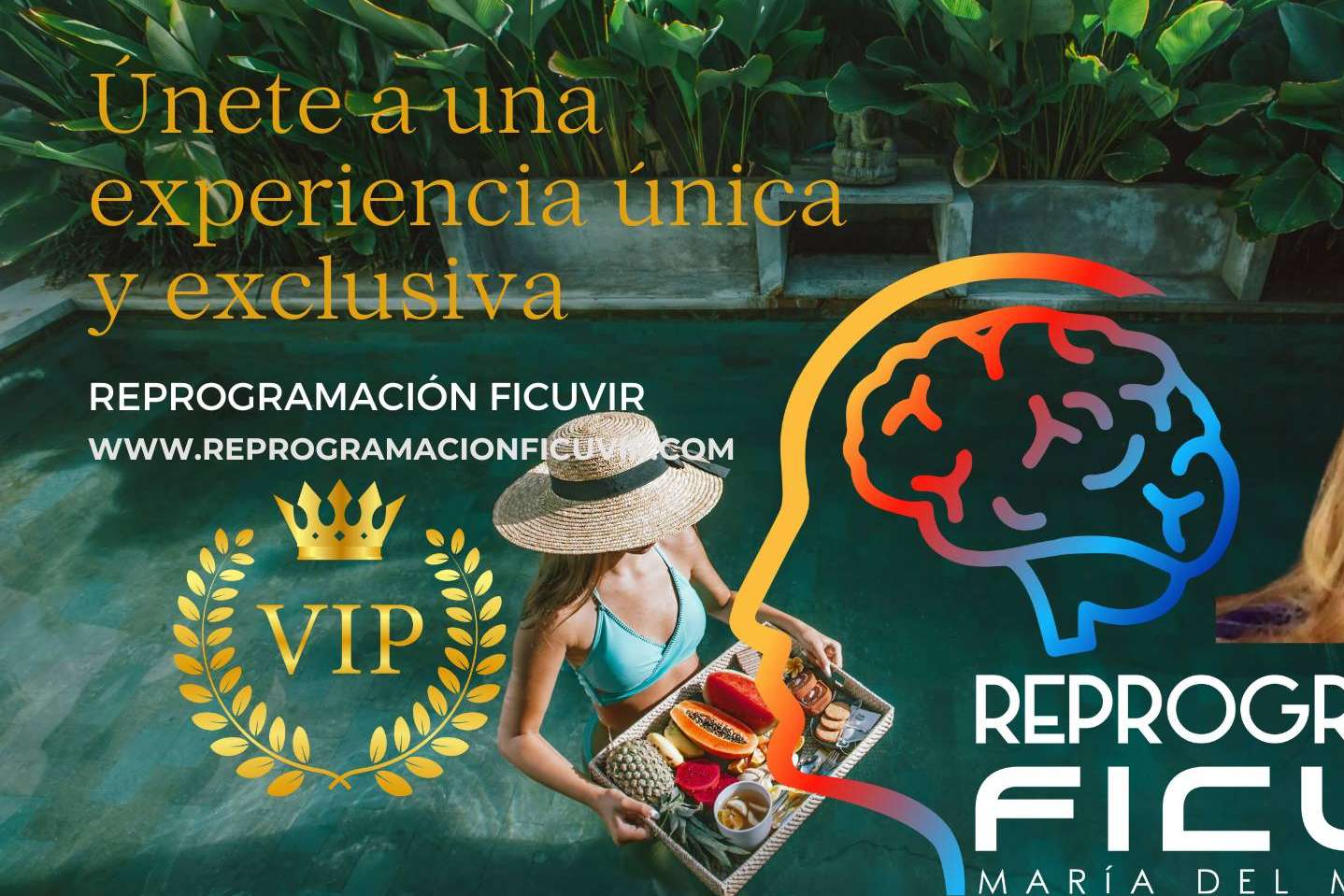 Curso transformador de vida, el Método FicuVIR y Gestión de la energía Diksha
