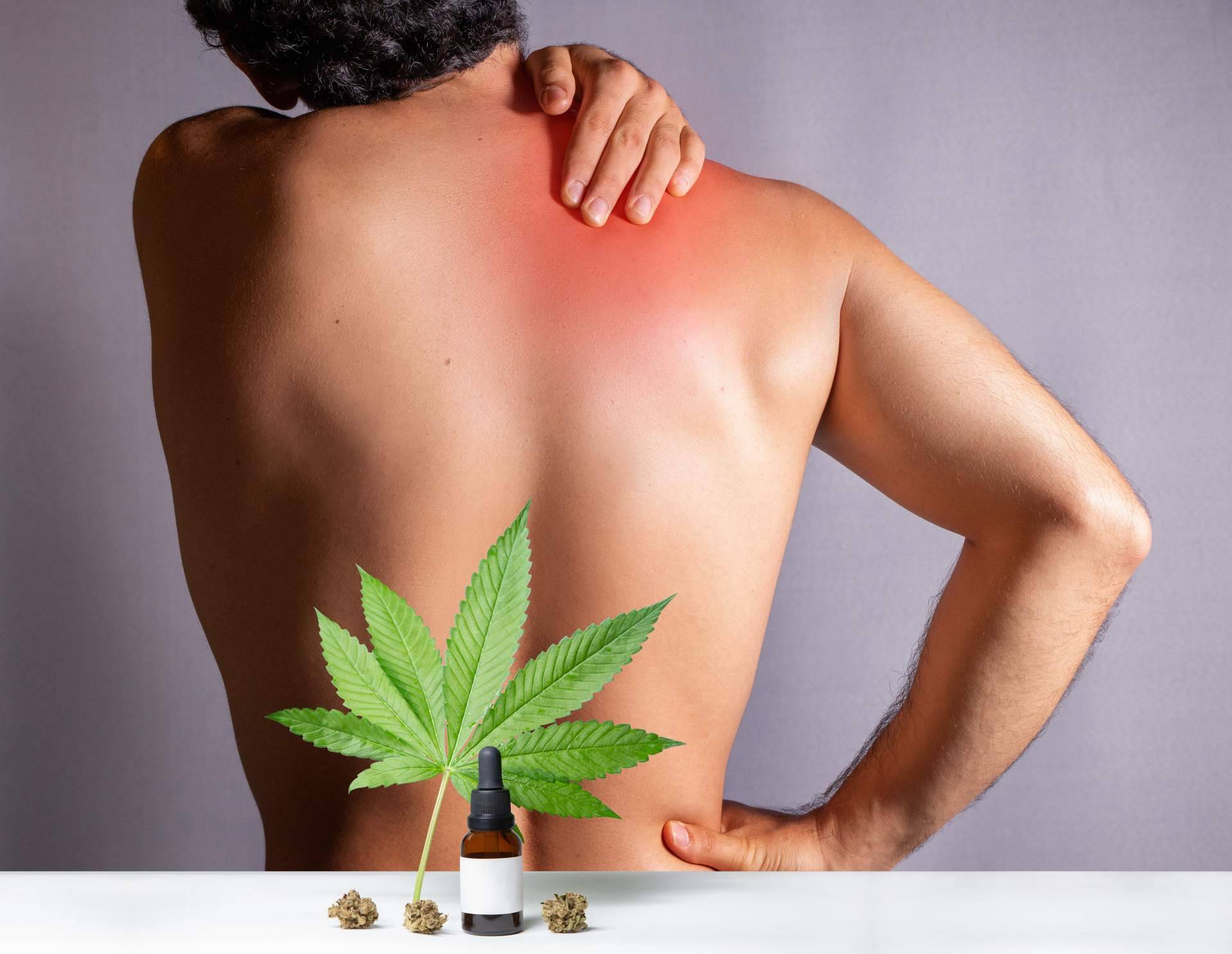 Comprar flores de CBD de calidad, en la tienda online de Kannaia