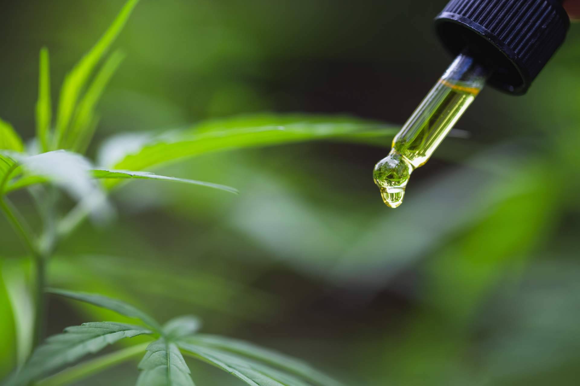 Aceite de CBD para los dolores musculares