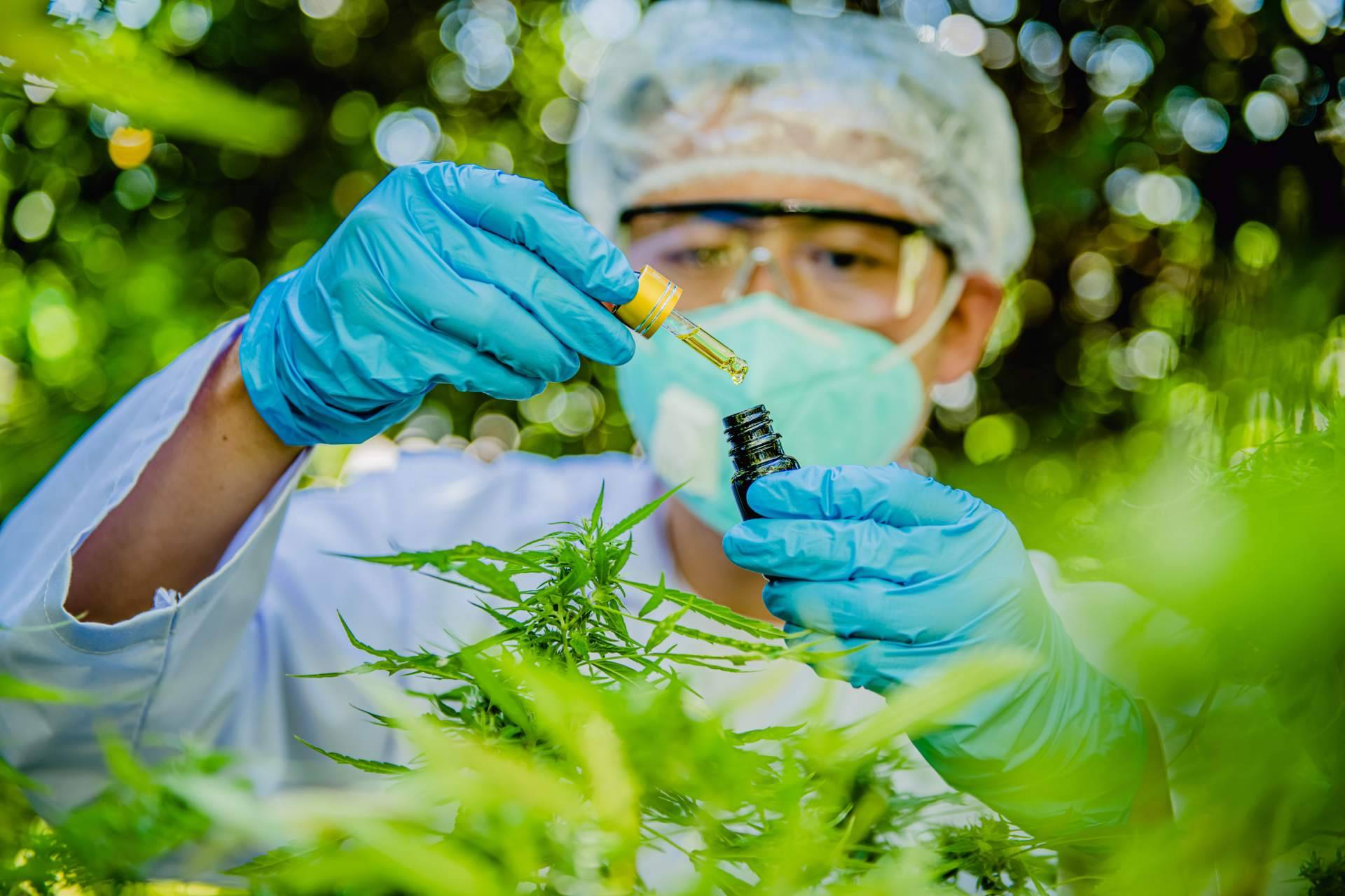 Cómo potenciar el rendimiento deportivo con productos CBD de alta calidad, por Arkano CBD