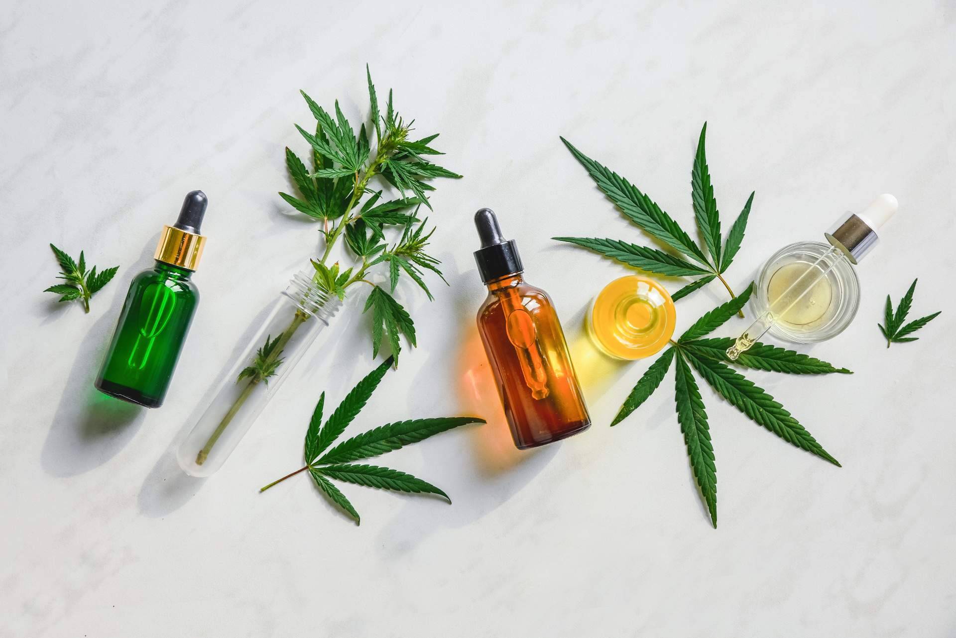 Todo lo que se debe saber antes de comprar un aceite de CBD