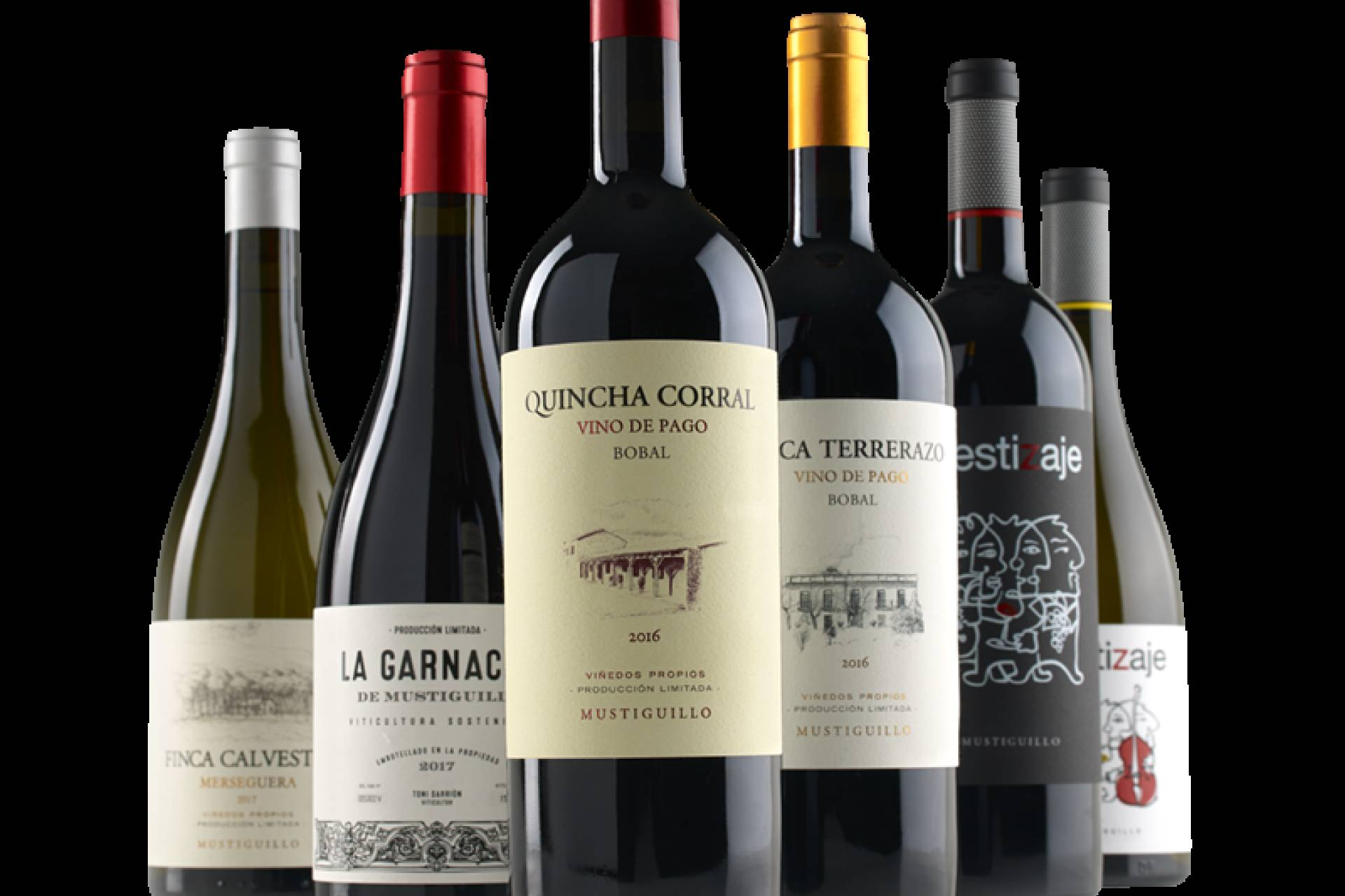 Distribución de vinos selectos para hostelería, el compromiso de Profesionales Casa del Vino