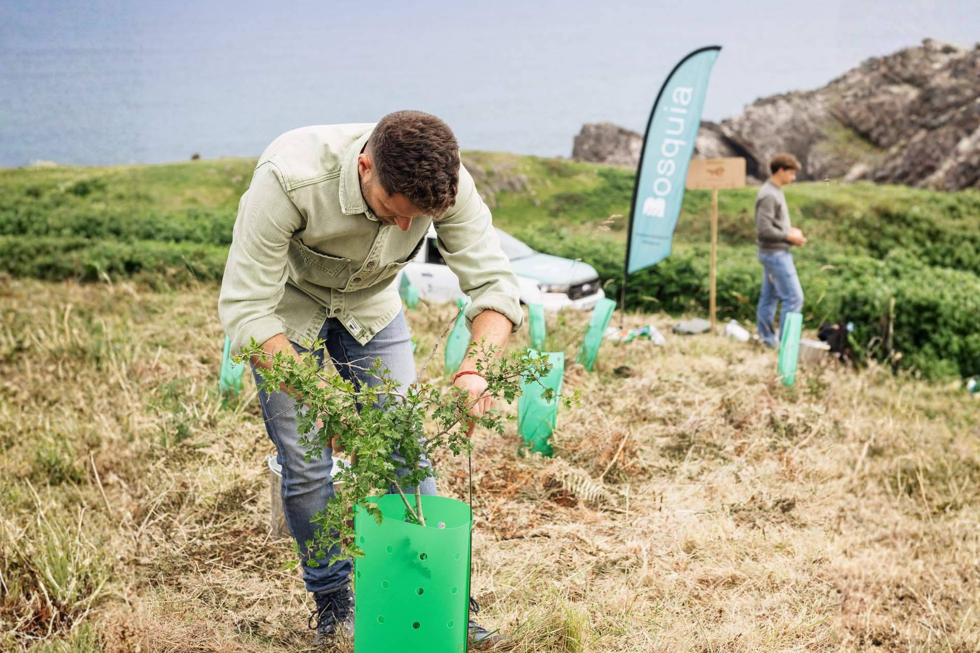 La plantación se detiene, pero la estrategia continúa