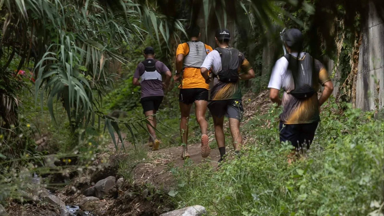 Nelson Alves y Yurena Castrillo dominan una XVI Aguas de Teror Trail con nuevo recorrido